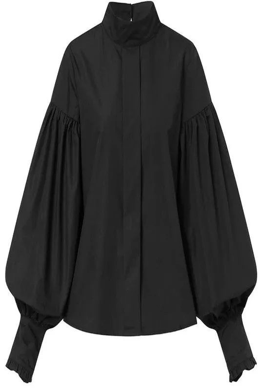 Elegant Long Lantern Sleeve Blouses